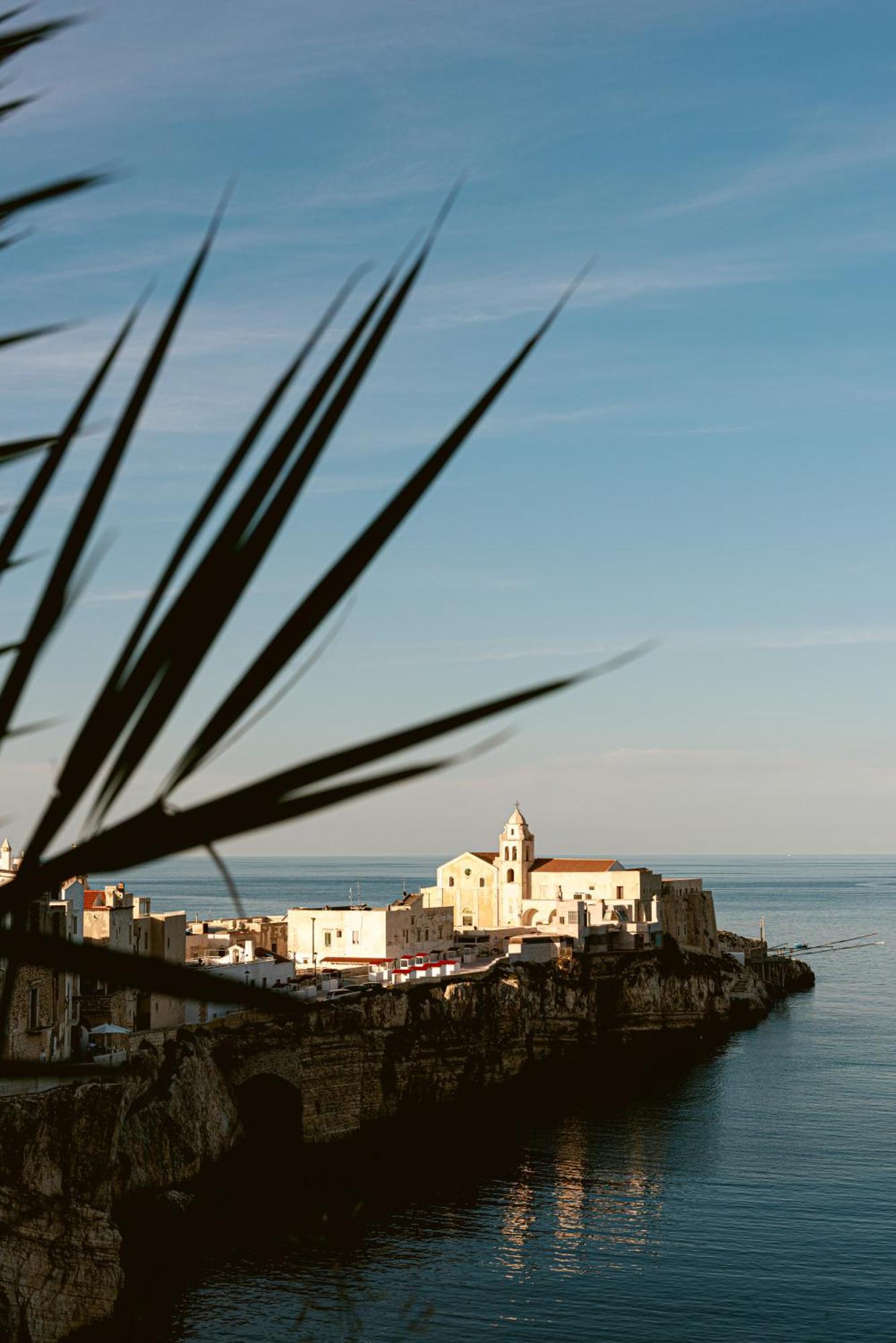 Hotel Degli Aranci
